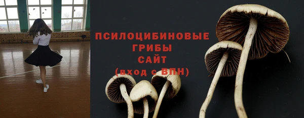 соль курить ск Алзамай