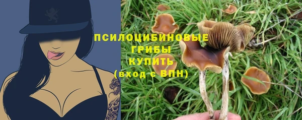 соль курить ск Алзамай
