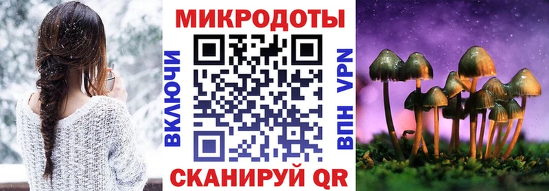 omg ССЫЛКА  Межгорье  Галлюциногенные грибы Psilocybe 